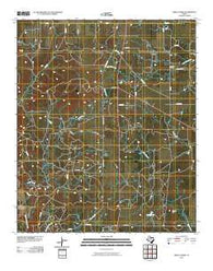 Sibley Creek Texas Historical topographic map, 1:24000 scale, 7.5 X 7.5 Minute, Year 2010