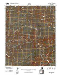 Signal Spring SE Texas Historical topographic map, 1:24000 scale, 7.5 X 7.5 Minute, Year 2010
