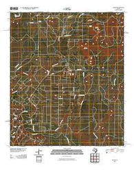 Silver Texas Historical topographic map, 1:24000 scale, 7.5 X 7.5 Minute, Year 2010