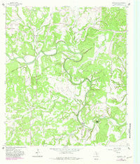 Sisterdale Texas Historical topographic map, 1:24000 scale, 7.5 X 7.5 Minute, Year 1964