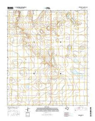 Skeen Lake Texas Current topographic map, 1:24000 scale, 7.5 X 7.5 Minute, Year 2016