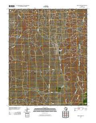 Skellytown Texas Historical topographic map, 1:24000 scale, 7.5 X 7.5 Minute, Year 2010