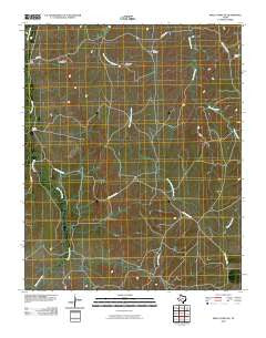 Skellytown NE Texas Historical topographic map, 1:24000 scale, 7.5 X 7.5 Minute, Year 2010