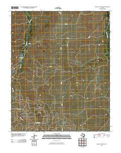 Skellytown NW Texas Historical topographic map, 1:24000 scale, 7.5 X 7.5 Minute, Year 2010