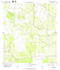 Skidmore NE Texas Historical topographic map, 1:24000 scale, 7.5 X 7.5 Minute, Year 1979