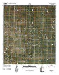 Skidmore NE Texas Historical topographic map, 1:24000 scale, 7.5 X 7.5 Minute, Year 2010