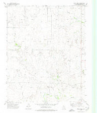 Skunk Creek Texas Historical topographic map, 1:24000 scale, 7.5 X 7.5 Minute, Year 1972