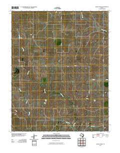 Skunk Creek Texas Historical topographic map, 1:24000 scale, 7.5 X 7.5 Minute, Year 2010