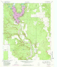 Smith Tank Texas Historical topographic map, 1:24000 scale, 7.5 X 7.5 Minute, Year 1962