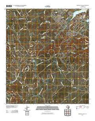 Smithson Valley Texas Historical topographic map, 1:24000 scale, 7.5 X 7.5 Minute, Year 2010