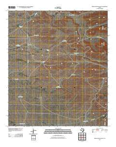 Sneed Mountain NE Texas Historical topographic map, 1:24000 scale, 7.5 X 7.5 Minute, Year 2010