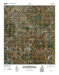 Snook Texas Historical topographic map, 1:24000 scale, 7.5 X 7.5 Minute, Year 2010