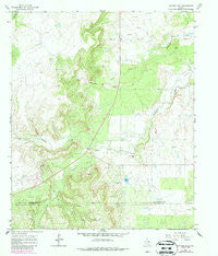 Snyder Lake Texas Historical topographic map, 1:24000 scale, 7.5 X 7.5 Minute, Year 1965