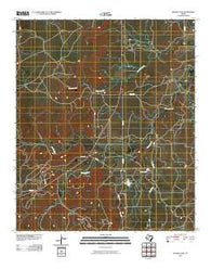 Snyder Lake Texas Historical topographic map, 1:24000 scale, 7.5 X 7.5 Minute, Year 2010