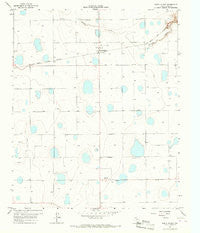 South Plains Texas Historical topographic map, 1:24000 scale, 7.5 X 7.5 Minute, Year 1966