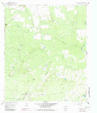 Spade Ranch Texas Historical topographic map, 1:24000 scale, 7.5 X 7.5 Minute, Year 1959