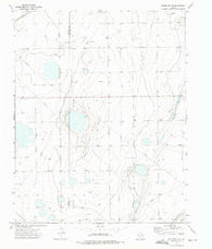 Spearman NE Texas Historical topographic map, 1:24000 scale, 7.5 X 7.5 Minute, Year 1973