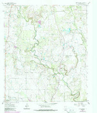 Speck Mountain Texas Historical topographic map, 1:24000 scale, 7.5 X 7.5 Minute, Year 1962