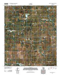 Speck Mountain Texas Historical topographic map, 1:24000 scale, 7.5 X 7.5 Minute, Year 2010