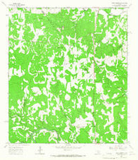 Spring Branch Texas Historical topographic map, 1:24000 scale, 7.5 X 7.5 Minute, Year 1964