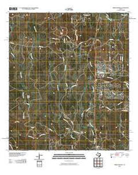 Spring Branch Texas Historical topographic map, 1:24000 scale, 7.5 X 7.5 Minute, Year 2010