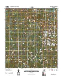 Spring Branch Texas Historical topographic map, 1:24000 scale, 7.5 X 7.5 Minute, Year 2013