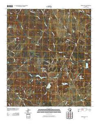 Spring Seat Texas Historical topographic map, 1:24000 scale, 7.5 X 7.5 Minute, Year 2010