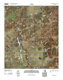 Stanmire Lake Texas Historical topographic map, 1:24000 scale, 7.5 X 7.5 Minute, Year 2010