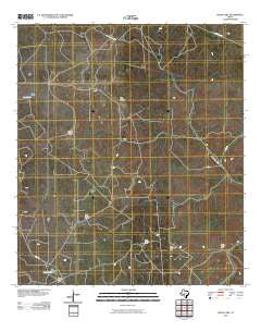 Steen Lake Texas Historical topographic map, 1:24000 scale, 7.5 X 7.5 Minute, Year 2010
