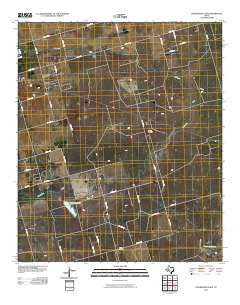 Stephenson Lake Texas Historical topographic map, 1:24000 scale, 7.5 X 7.5 Minute, Year 2010