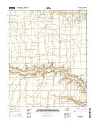 Stevens SW Texas Current topographic map, 1:24000 scale, 7.5 X 7.5 Minute, Year 2016