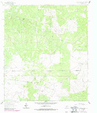 Stewart Ranch Texas Historical topographic map, 1:24000 scale, 7.5 X 7.5 Minute, Year 1962