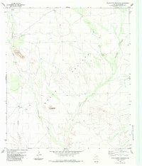Straddlebug Mountain Texas Historical topographic map, 1:24000 scale, 7.5 X 7.5 Minute, Year 1983