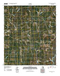 Sudduth Bluff Texas Historical topographic map, 1:24000 scale, 7.5 X 7.5 Minute, Year 2010