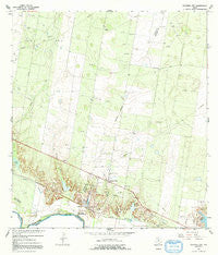 Sullivan City Texas Historical topographic map, 1:24000 scale, 7.5 X 7.5 Minute, Year 1965