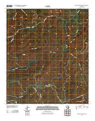Swayback Mountain Texas Historical topographic map, 1:24000 scale, 7.5 X 7.5 Minute, Year 2010