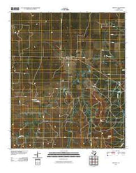 Swenson Texas Historical topographic map, 1:24000 scale, 7.5 X 7.5 Minute, Year 2010