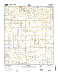 Tahoka SW Texas Current topographic map, 1:24000 scale, 7.5 X 7.5 Minute, Year 2016