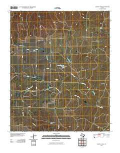 Tampico Siding Texas Historical topographic map, 1:24000 scale, 7.5 X 7.5 Minute, Year 2010
