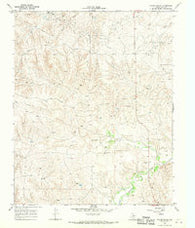 Taylor Ranch Texas Historical topographic map, 1:24000 scale, 7.5 X 7.5 Minute, Year 1968