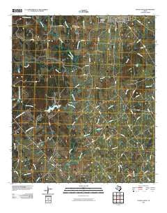 Teague South Texas Historical topographic map, 1:24000 scale, 7.5 X 7.5 Minute, Year 2010