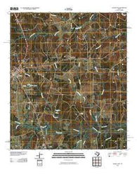 Tenaha East Texas Historical topographic map, 1:24000 scale, 7.5 X 7.5 Minute, Year 2010
