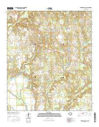 Tennessee Colony Texas Current topographic map, 1:24000 scale, 7.5 X 7.5 Minute, Year 2016
