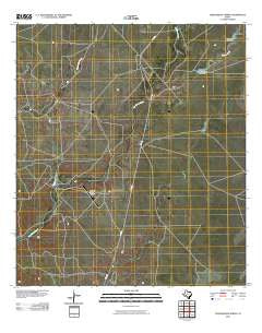 Tequesquite Spring Texas Historical topographic map, 1:24000 scale, 7.5 X 7.5 Minute, Year 2010
