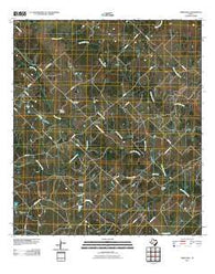Terryville Texas Historical topographic map, 1:24000 scale, 7.5 X 7.5 Minute, Year 2010