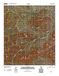 Tesnus Texas Historical topographic map, 1:24000 scale, 7.5 X 7.5 Minute, Year 2010