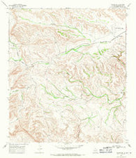 Tesnus SE Texas Historical topographic map, 1:24000 scale, 7.5 X 7.5 Minute, Year 1968