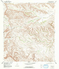 Tesnus SE Texas Historical topographic map, 1:24000 scale, 7.5 X 7.5 Minute, Year 1968