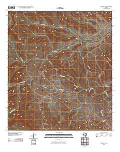Tesnus SE Texas Historical topographic map, 1:24000 scale, 7.5 X 7.5 Minute, Year 2010