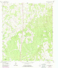 Thomas Springs Texas Historical topographic map, 1:24000 scale, 7.5 X 7.5 Minute, Year 1961